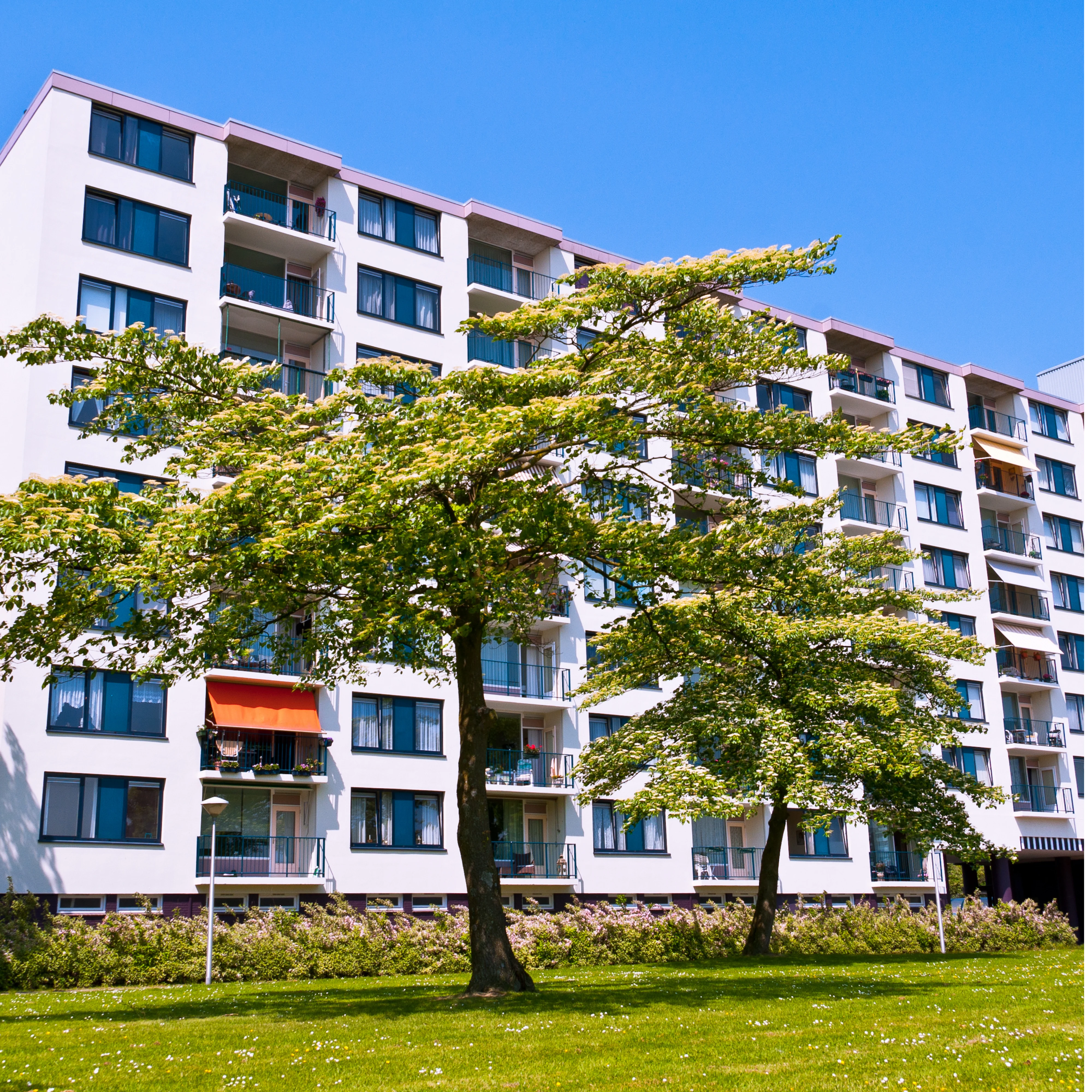 Millennia Park Residency